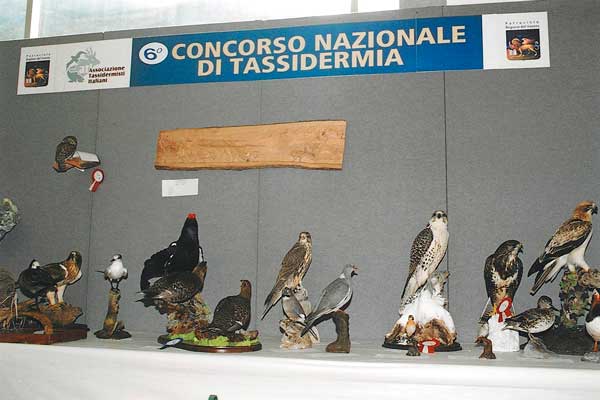 2005-concorso